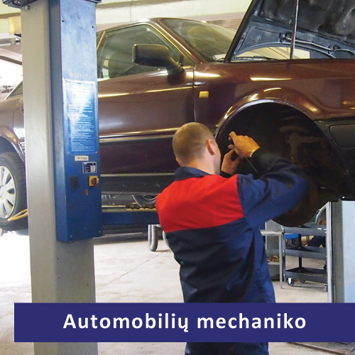 Automobilių mechaniko programa